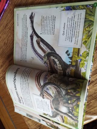 El magnífico libro de los dinosaurios
