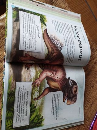 El magnífico libro de los dinosaurios