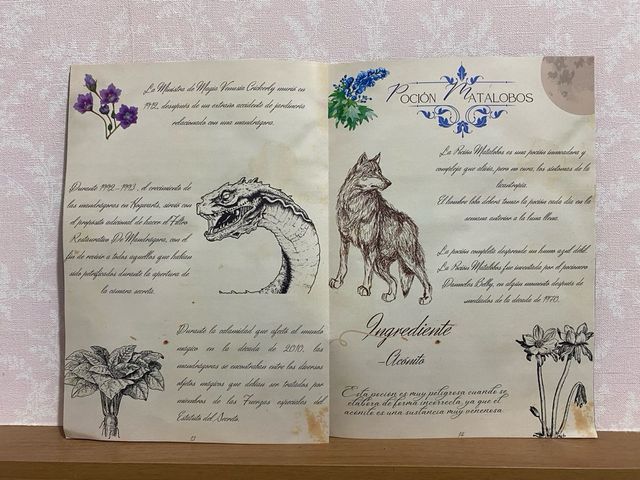 revista pociones Harry Potter