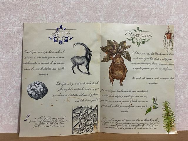 revista pociones Harry Potter