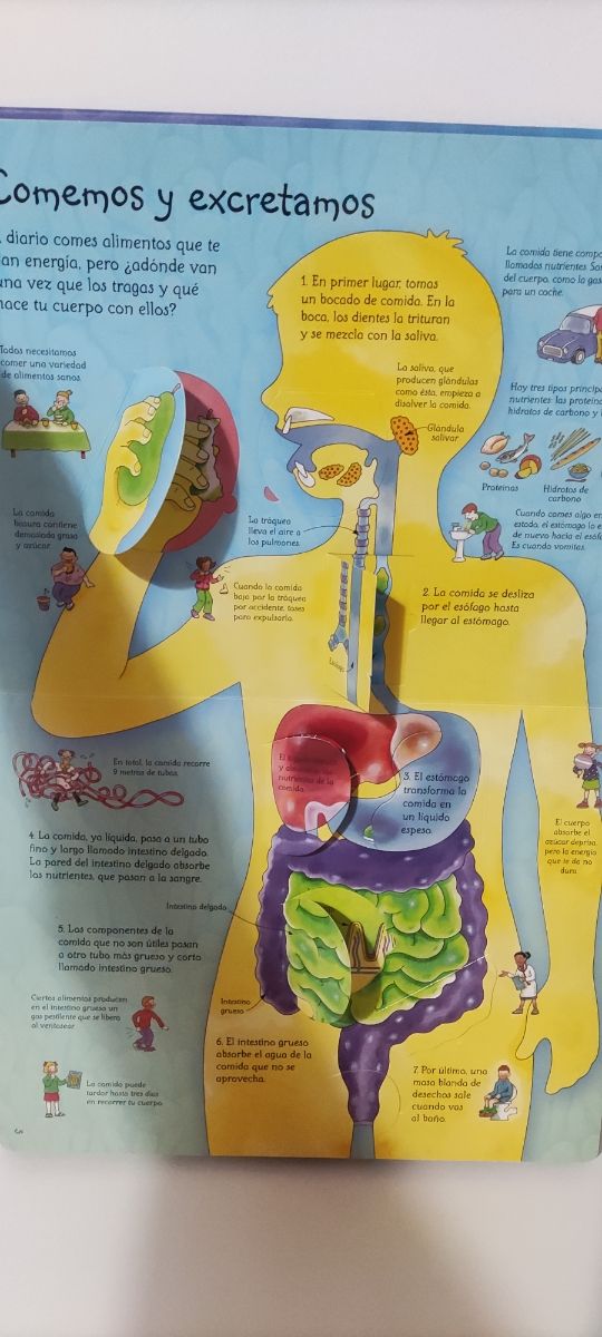 Libro Tu Cuerpo Humano