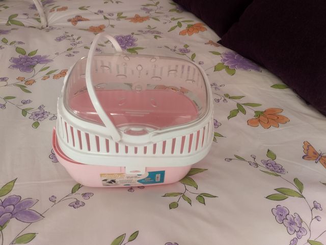 Transportín de conejito