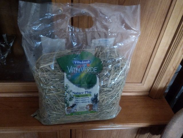 Transportín de conejito