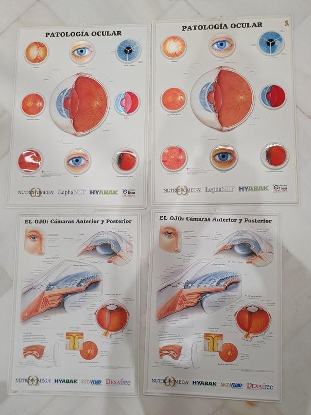 Cuatro láminas de oftalmología plástico