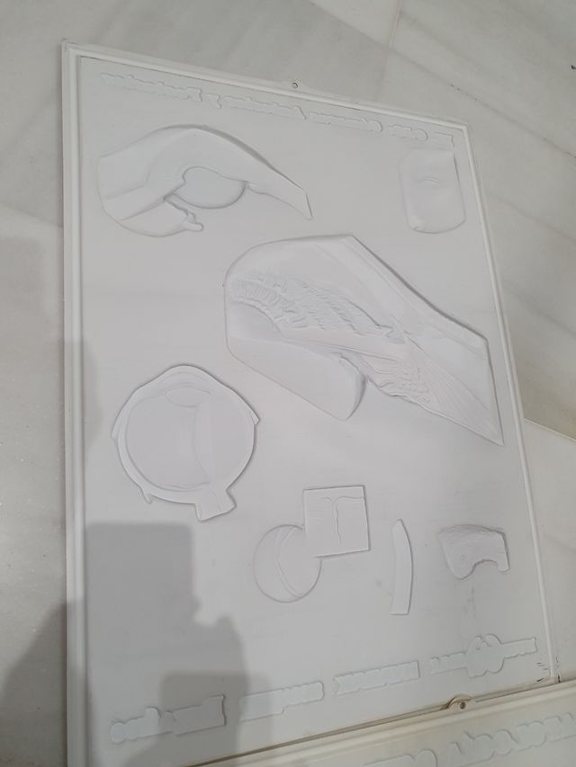 Cuatro láminas de oftalmología plástico