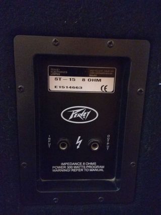 Altavoz Peavey ST-15 E1514663 (izquierdo)