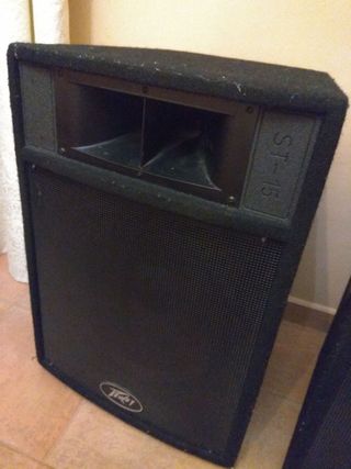 Altavoz Peavey ST-15 E1514663 (izquierdo)