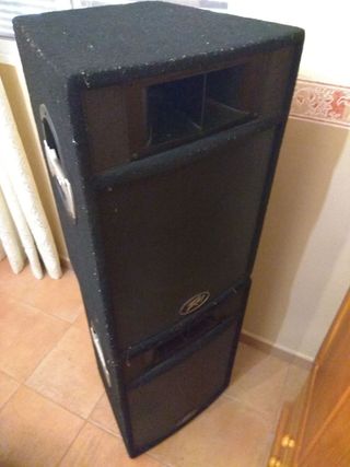 Altavoz Peavey ST-15 E1514663 (izquierdo)