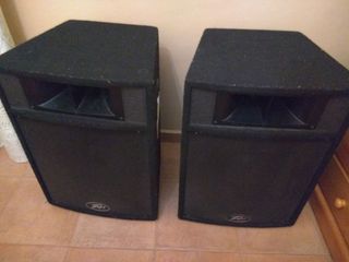 Altavoz Peavey ST-15 E1514663 (derecho)