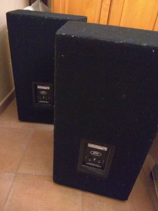 Altavoz Peavey ST-15 E1514663 (derecho)