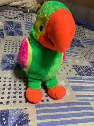 Pappagallo arcobaleno