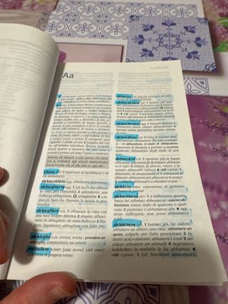 dizionario per bambini
