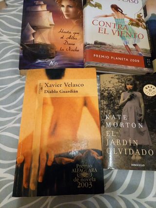 Lote 10 Novelas.