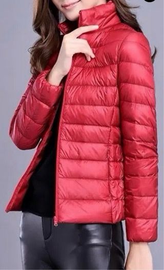 plumifero de entretiempo