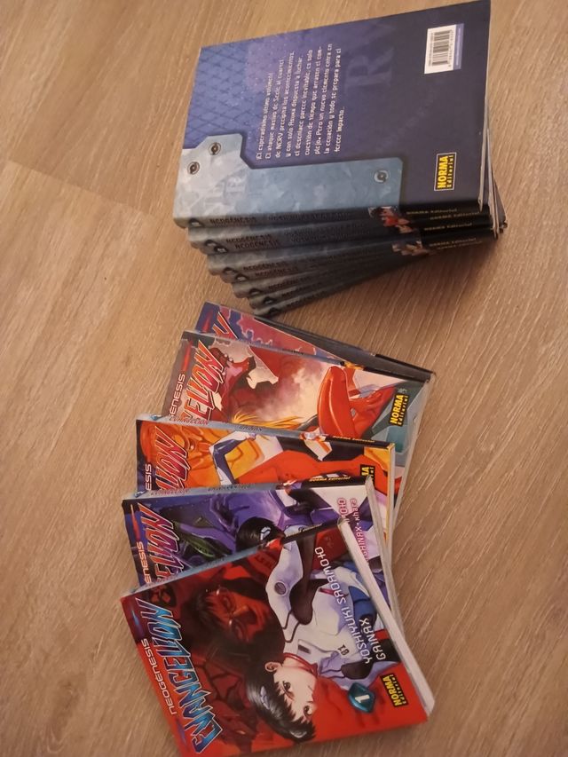 tomos sueltos Evangelion