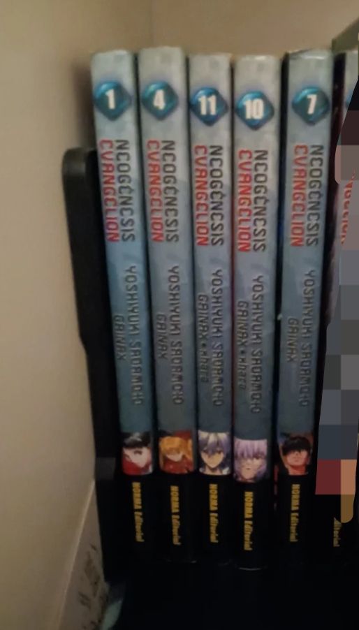 tomos sueltos Evangelion