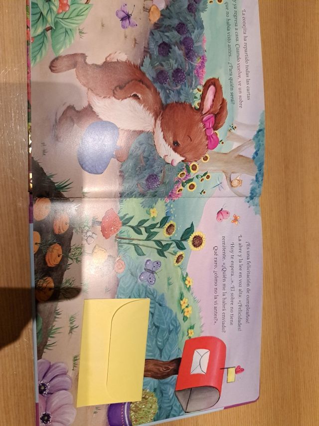 Libro pastas de carton