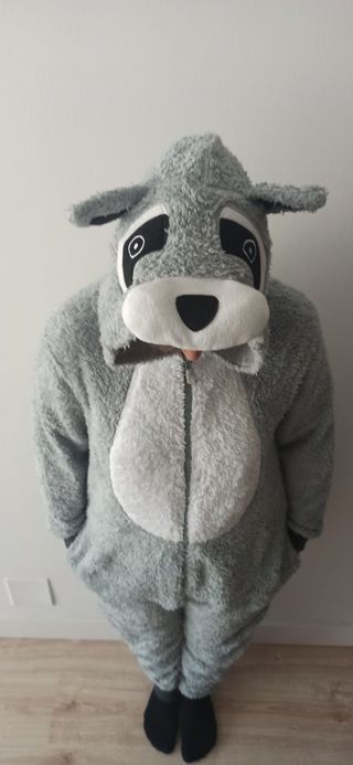 Pijama Disfraz