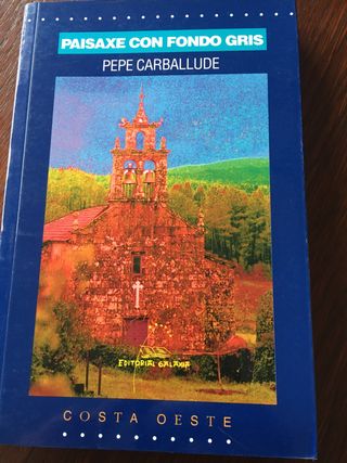 Paisaxe cin fondo gris