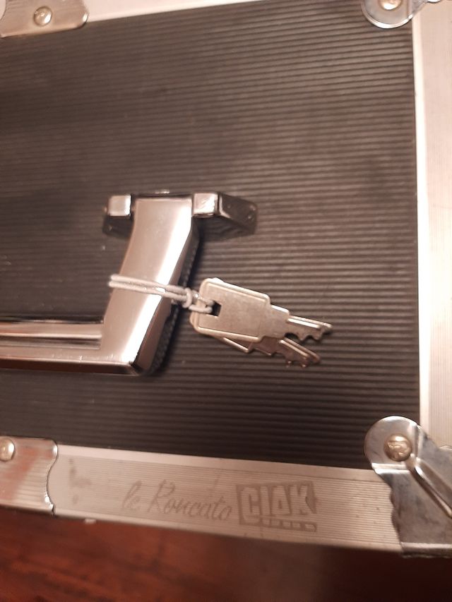 valigetta bauletto le roncato ciak