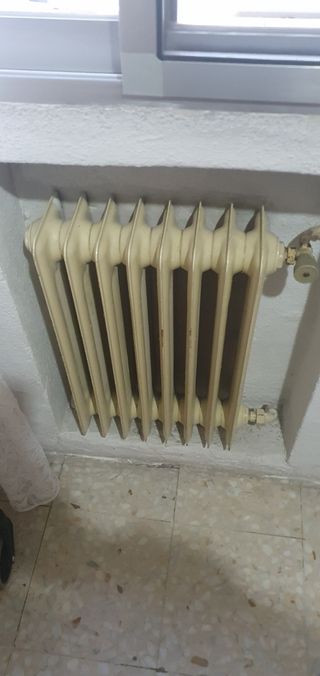 Cambio de Radiadores 