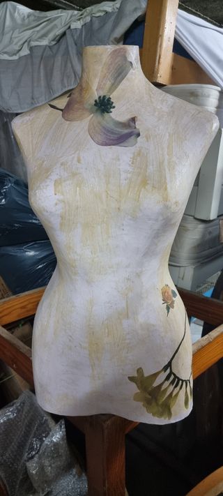 Busto mujer