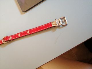 Collarino rosso. Per gatto /cane. Cm 32. Nuovo. 