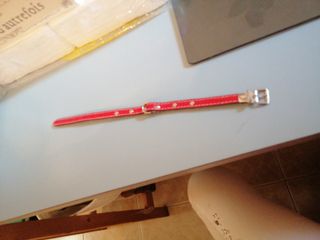 Collarino rosso. Per gatto /cane. Cm 32. Nuovo. 