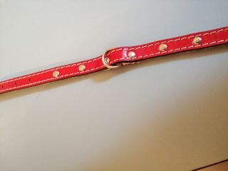 Collarino rosso. Per gatto /cane. Cm 32. Nuovo. 