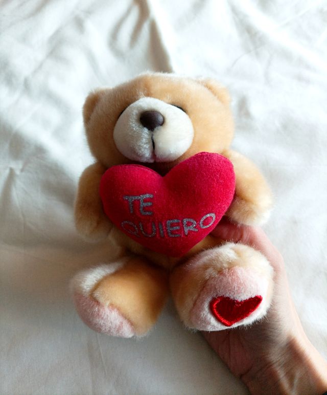 Osito peluche Te Quiero ©Hallmark