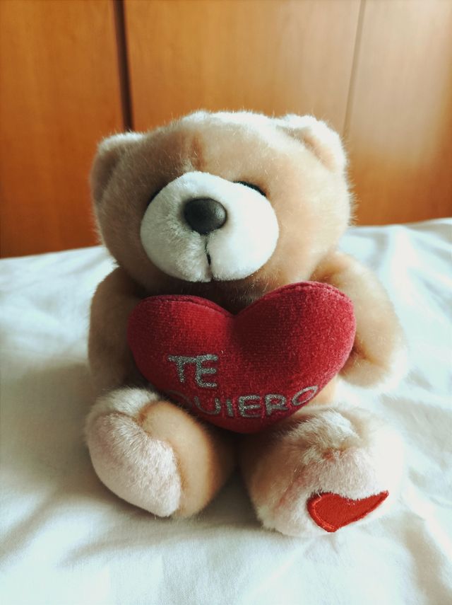 Osito peluche Te Quiero ©Hallmark