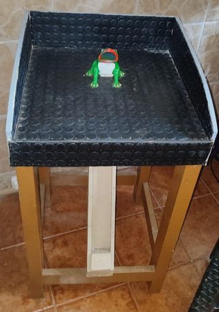 Popular juego de la rana