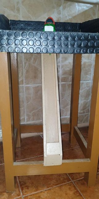 Popular juego de la rana