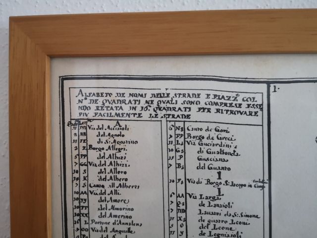 Quadro Pianta Storica della città di Firenze