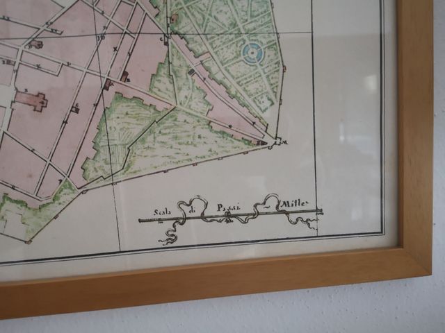 Quadro Pianta Storica della città di Firenze