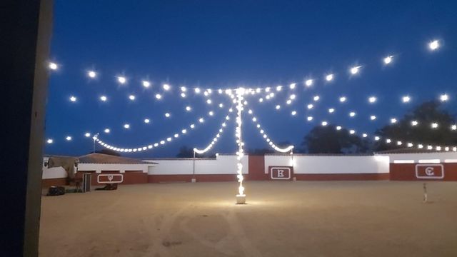 GUIRNALDAS PARA EVENTOS