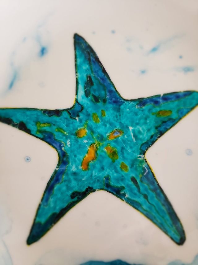 Plato estrella mar