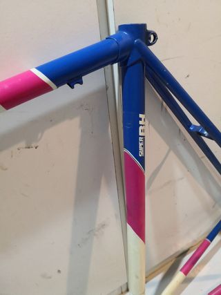 Cuadro bh Campagnolo 