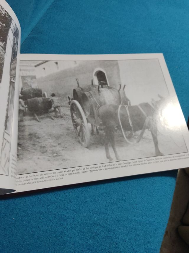 Sanlúcar para el recuerdo