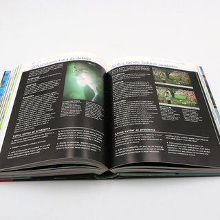 Libro Manual de la fotografia digital Tom Ang