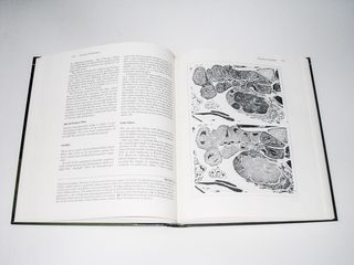 Fotografía cientifica, Alfred Baker (inglés)