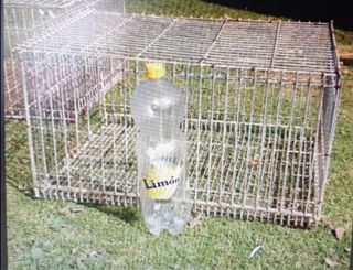 Jaulas Conejos o otros