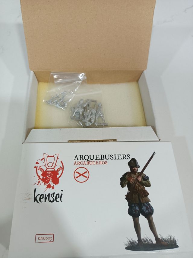 Lanceros, alabardero y arcabuceros de Zenit