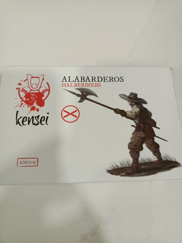 Lanceros, alabardero y arcabuceros de Zenit