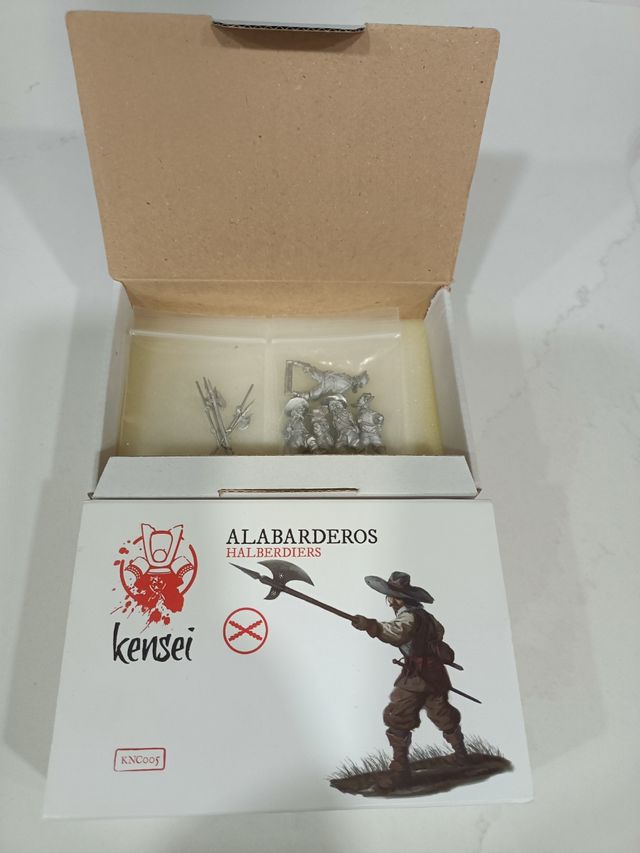 Lanceros, alabardero y arcabuceros de Zenit