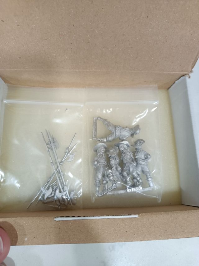 Lanceros, alabardero y arcabuceros de Zenit