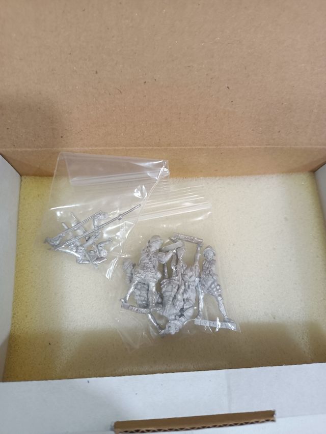 Lanceros, alabardero y arcabuceros de Zenit