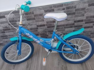 Bicicleta frozen
