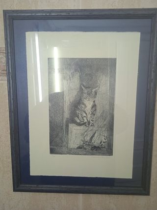 Cuadro grabado gato de C.Guillen