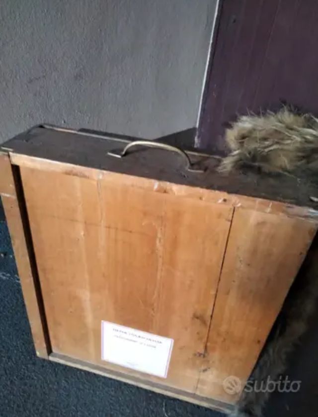 Quadro scultura d' autore ( pezzo unico)